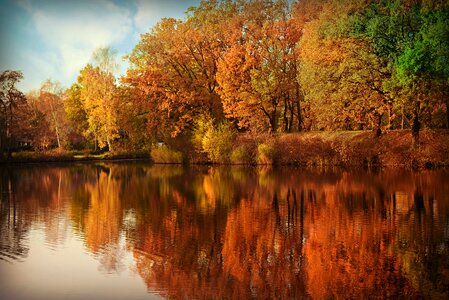Trees reflections autumn colors photo