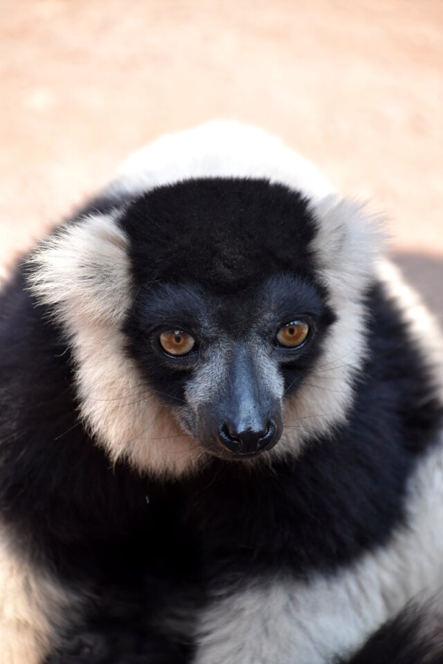 Madagascar eyes nature