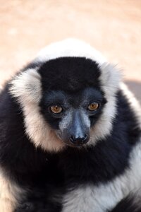 Madagascar eyes nature