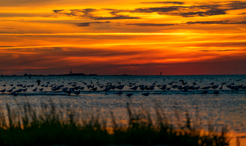 Landscape evening water