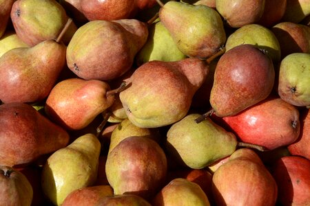 Food bio fresh