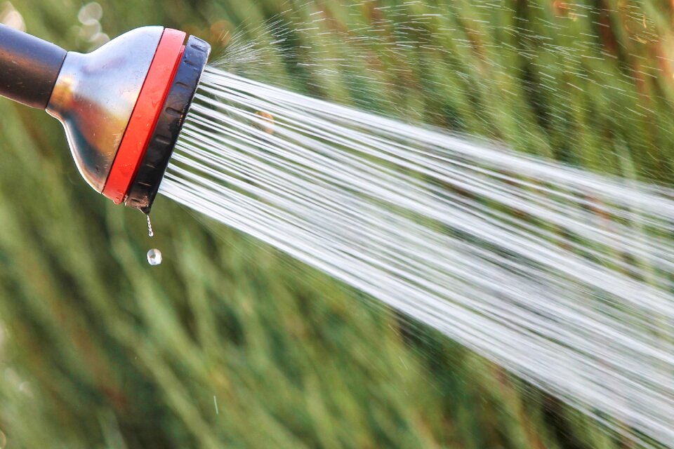 Shower head water spühen