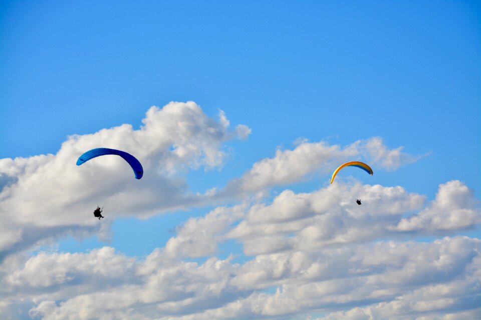 Wing wing ozone rush 5 free flight