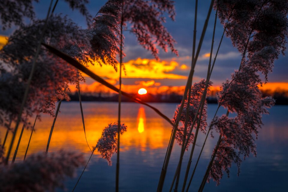 Landscape nature joy