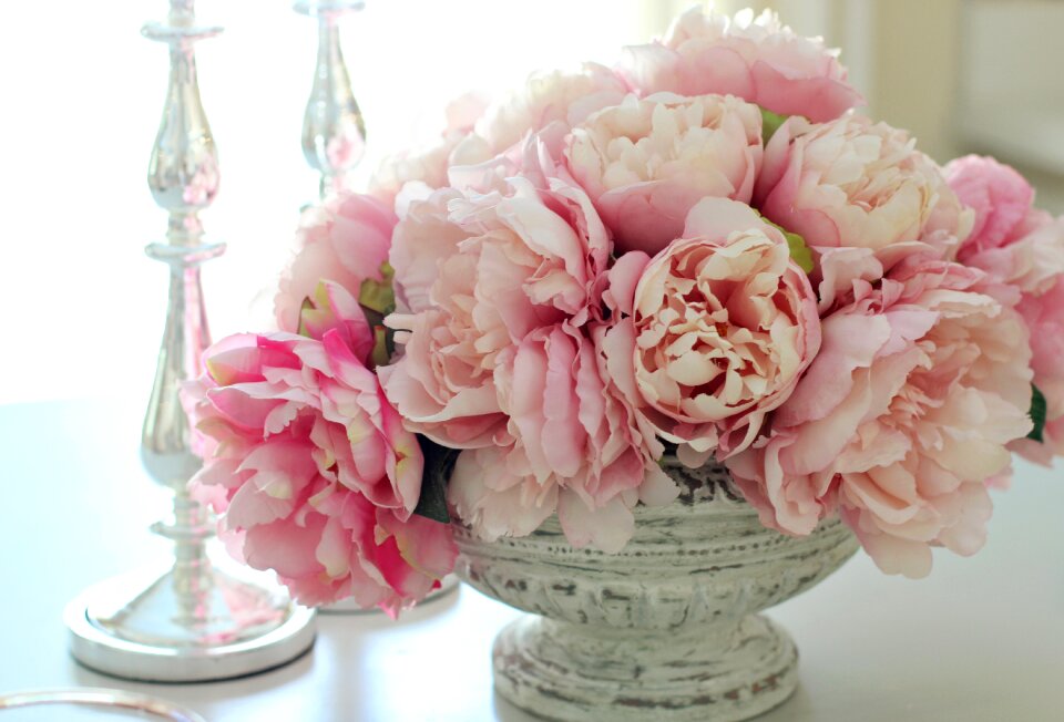 Pink spring summer