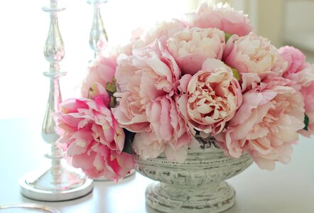 Pink spring summer