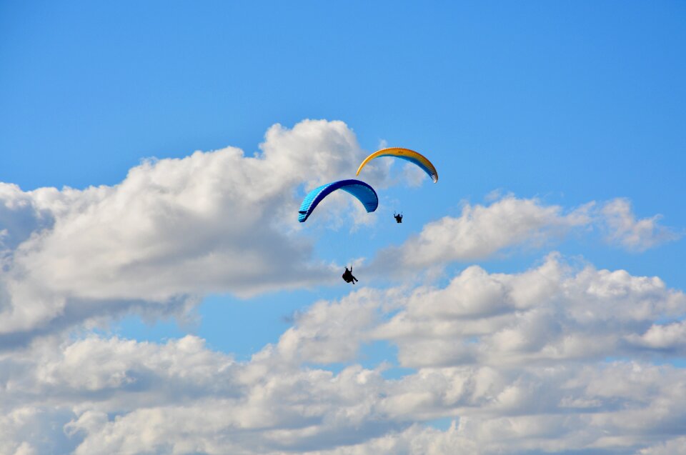 Wing wing ozone rush 5 free flight