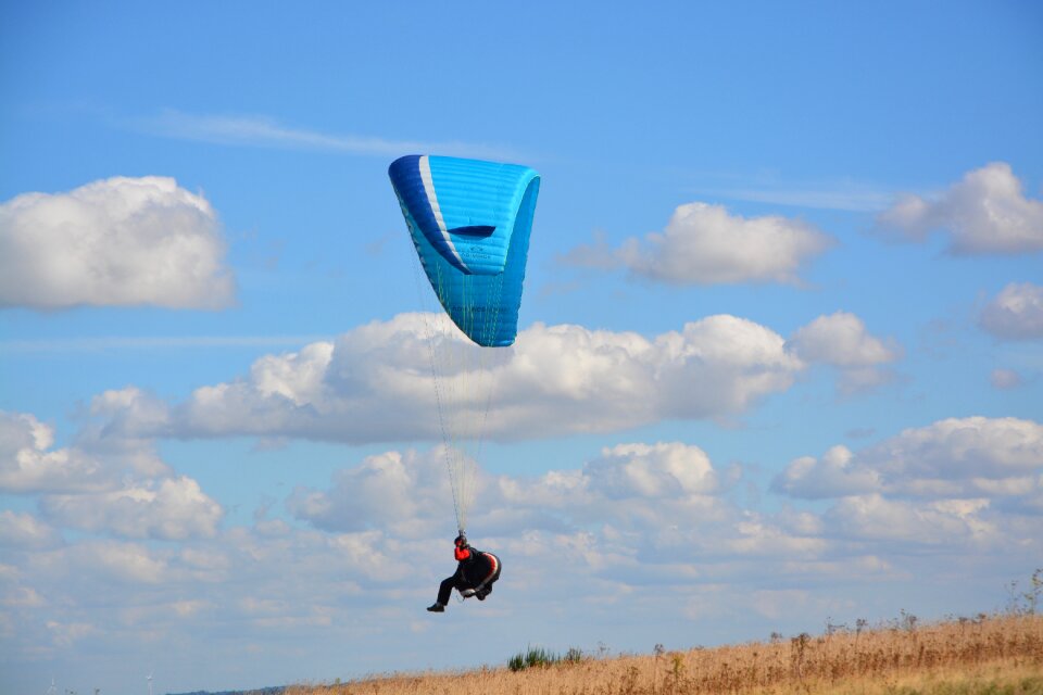 Wing free flight fly