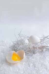 Edible straw still life photo