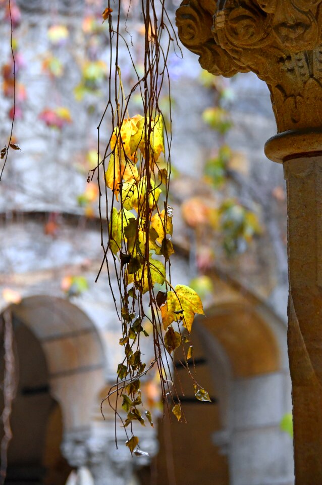 Mood autumn mood passing away