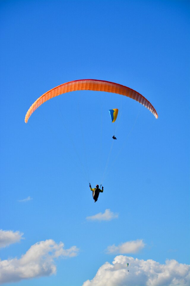 Wing wing ozone rush 5 free flight