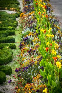 Garden creation blossom