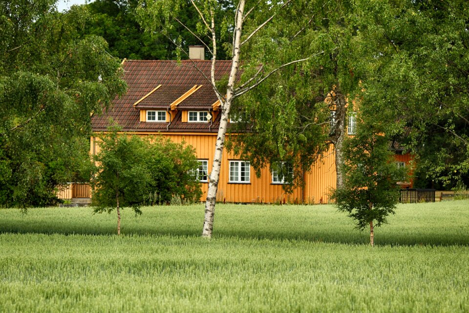 Nature landscape green house