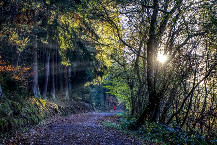 Endurance movement sun