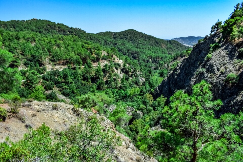 Trees landscape nature photo