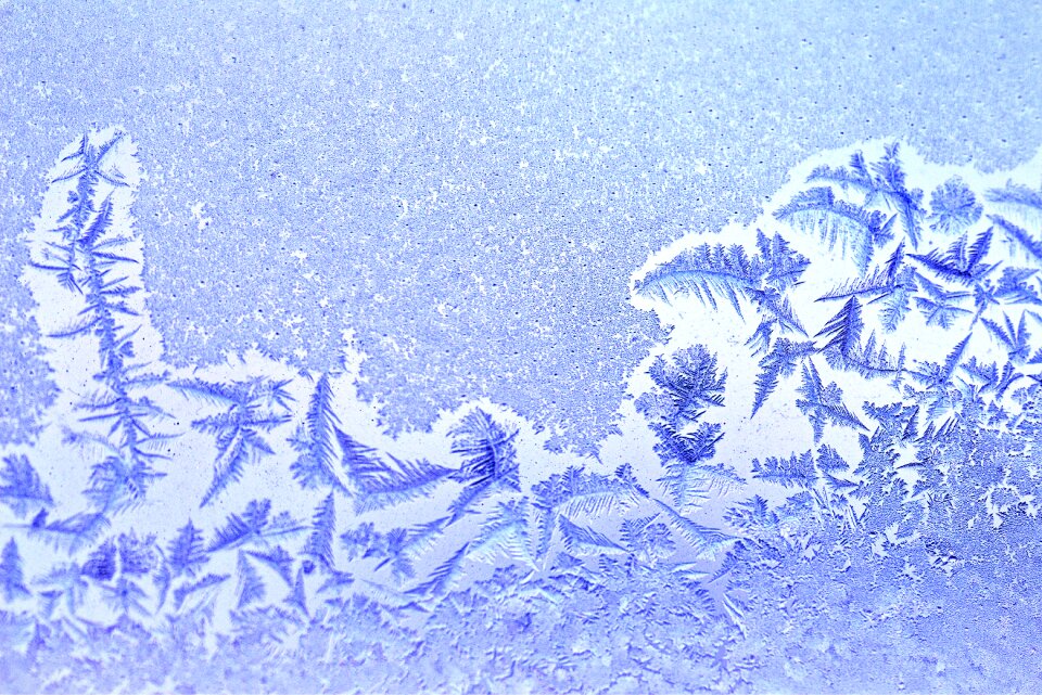 Frost winter crystals