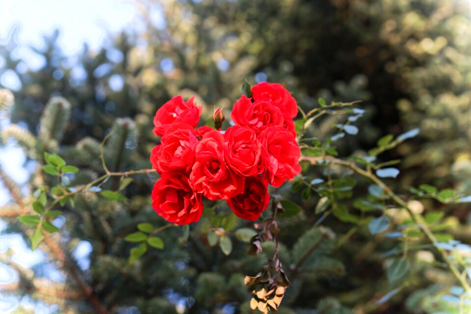 Late autumn romantic love