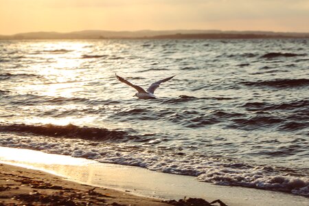 Water beach nature