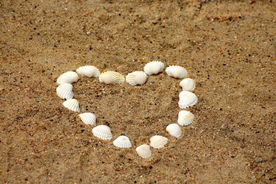 Holidays romanticism nature