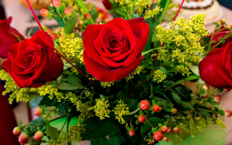 Ornamental plant flower nature