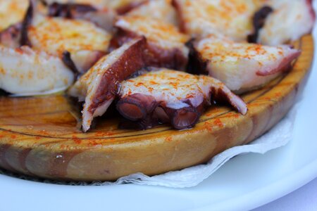Cooked octopus gastronomy paprika