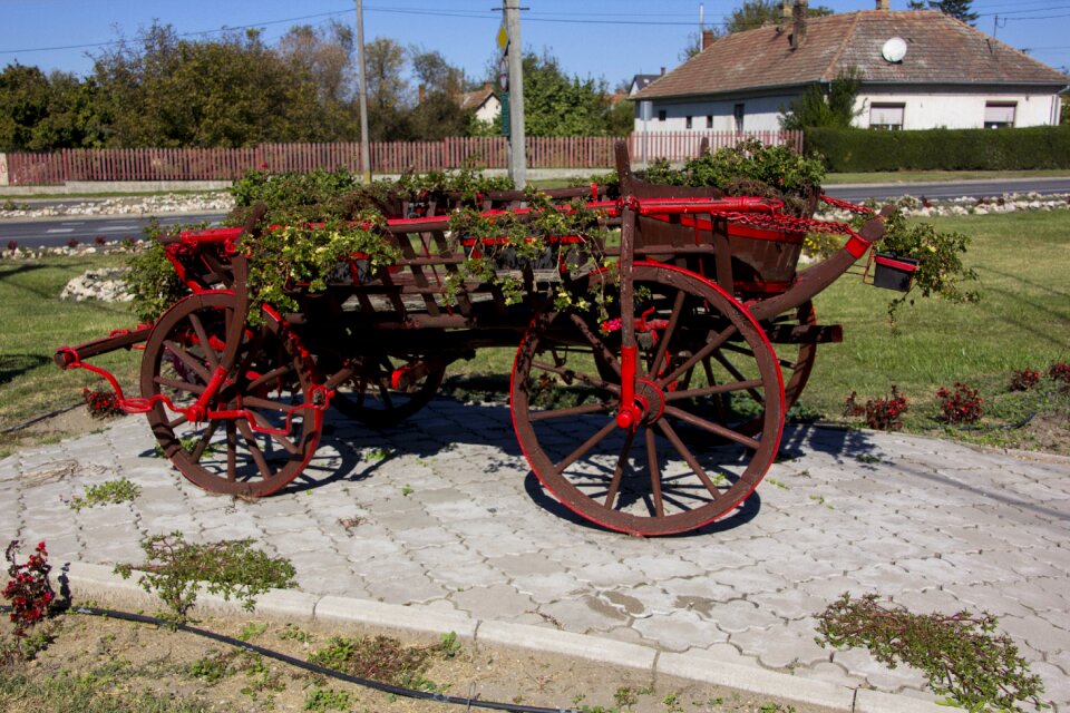 Horse drawn carriage decorated see würdikeit