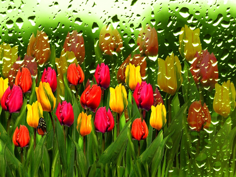 Flowery nature background