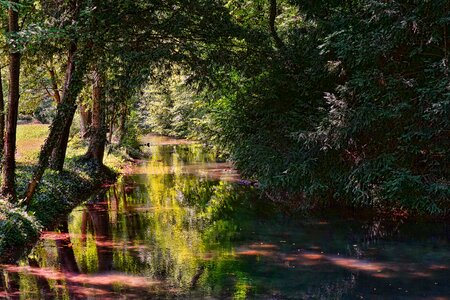 River mirroring mood