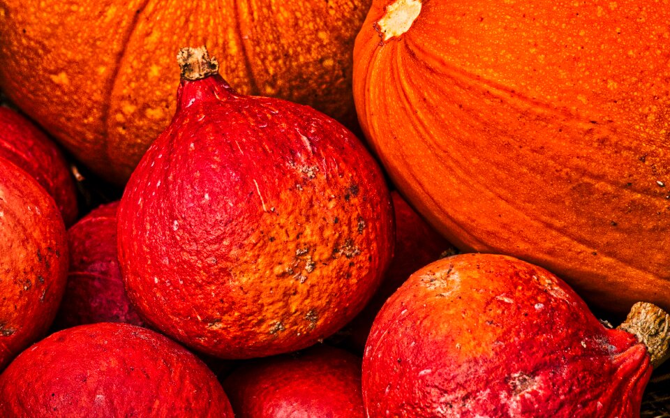 Autumn vegetables food
