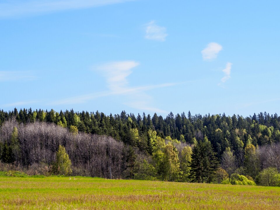 National park nature