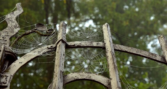 Old indian summer ornament