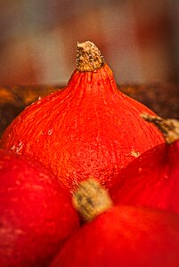 Autumn vegetables food photo