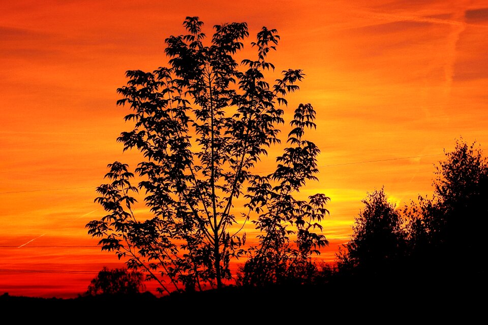 Landscape sky mood