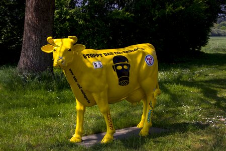 Beef homemade decoration