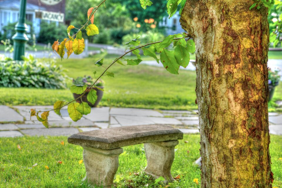 Decoration landscape outdoor