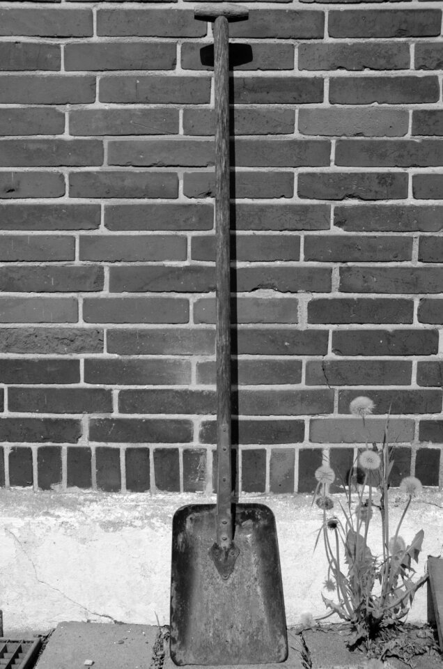 Work faceplate garden