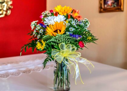 Colorful blossom florist photo