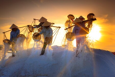 Vietnam work sunlight