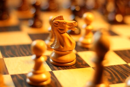 Springer chess piece holzfigur
