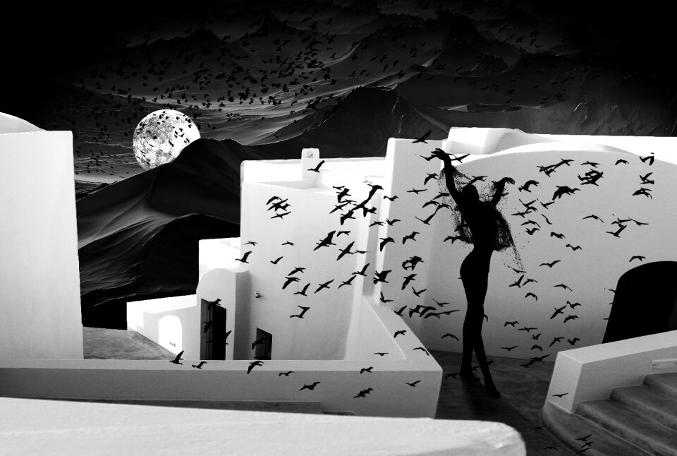 Black white woman dance