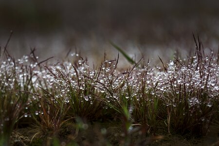 The drops of water background nice