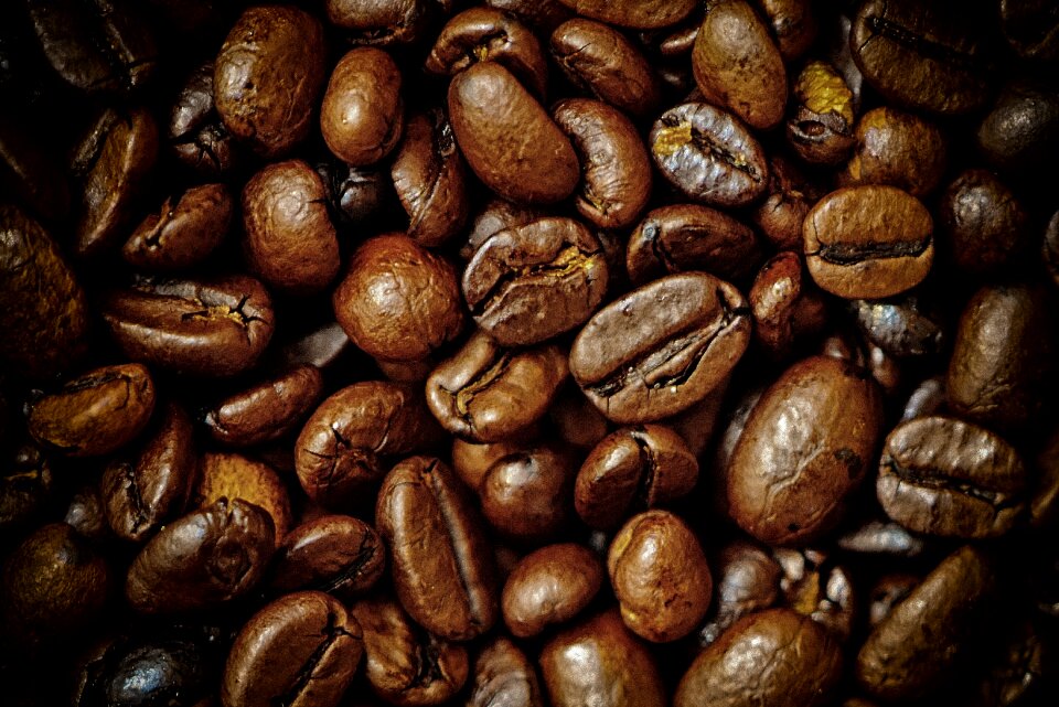 Roasted beans aroma