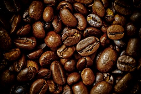 Roasted beans aroma