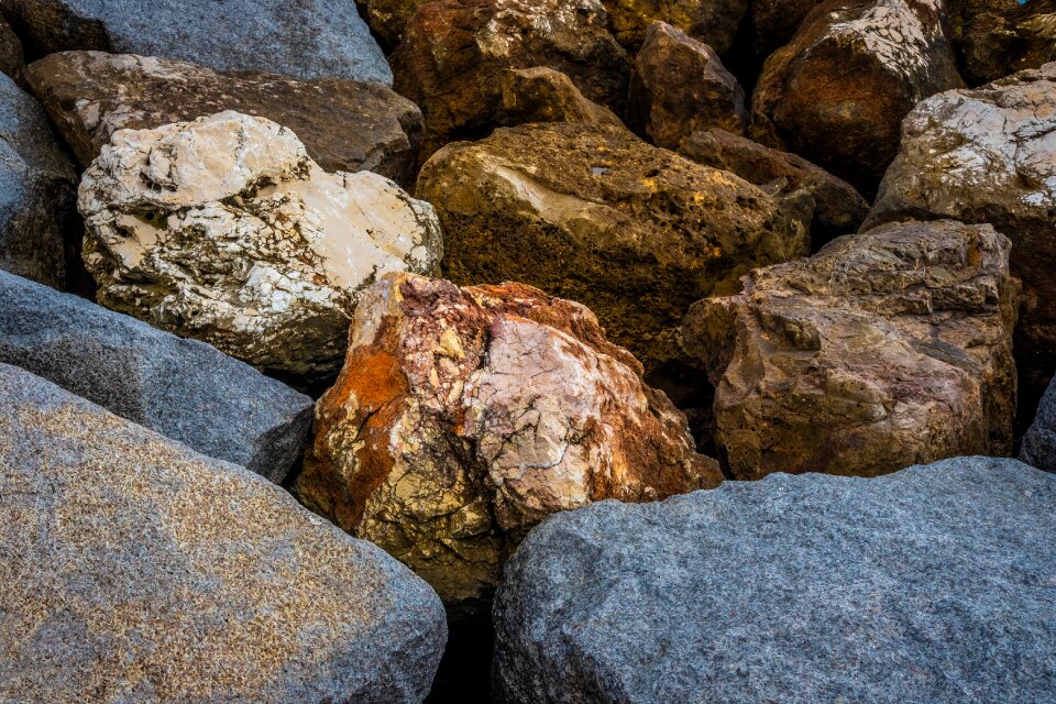 Coast nature color