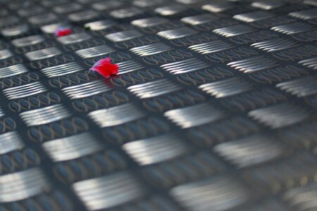 Blooming metal floor