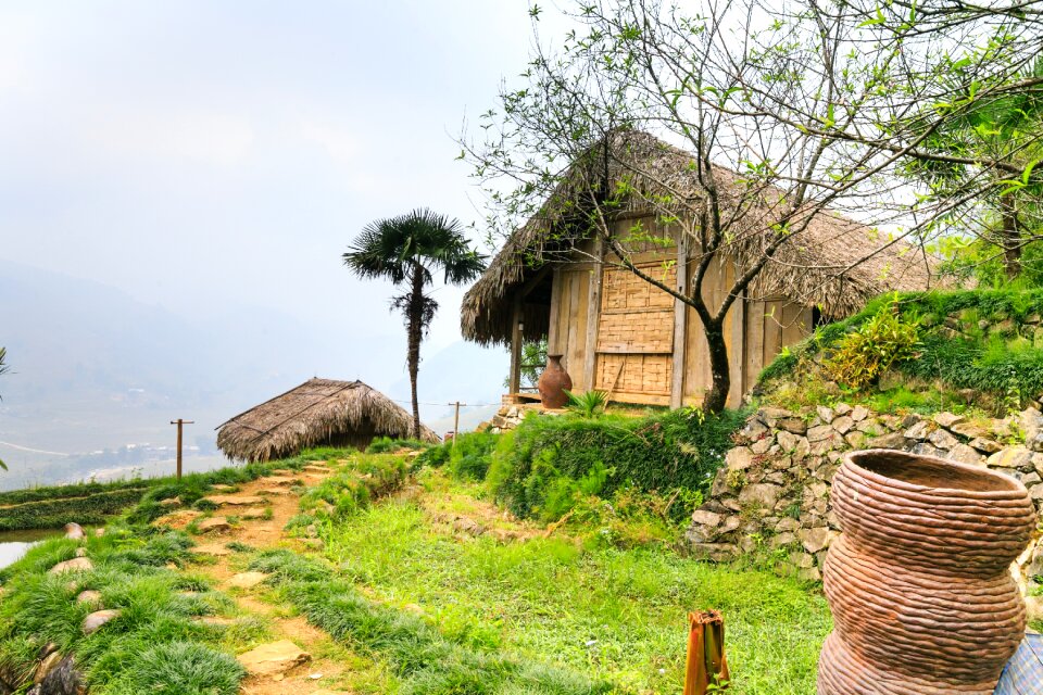 Rice vietnam sa pa