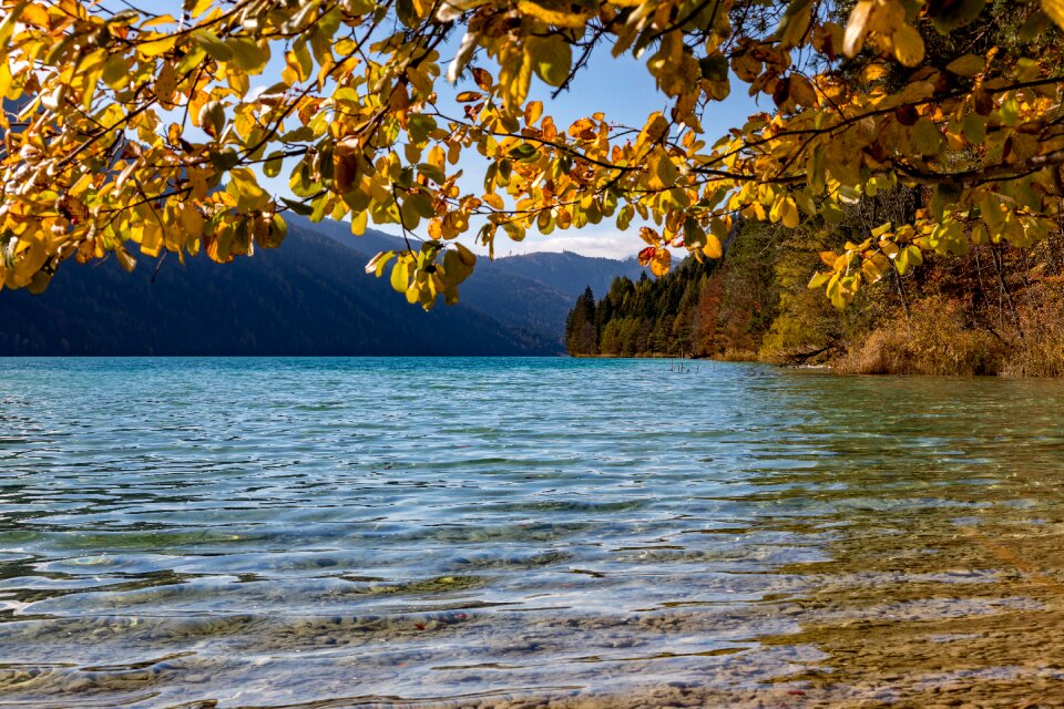 Landscape carinthia scenic