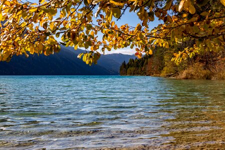 Landscape carinthia scenic