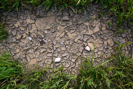 Ground nature texture photo