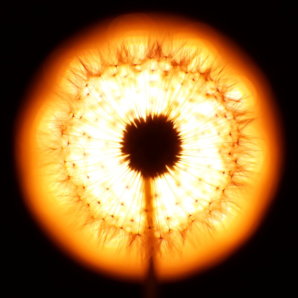 Nature light backlighting